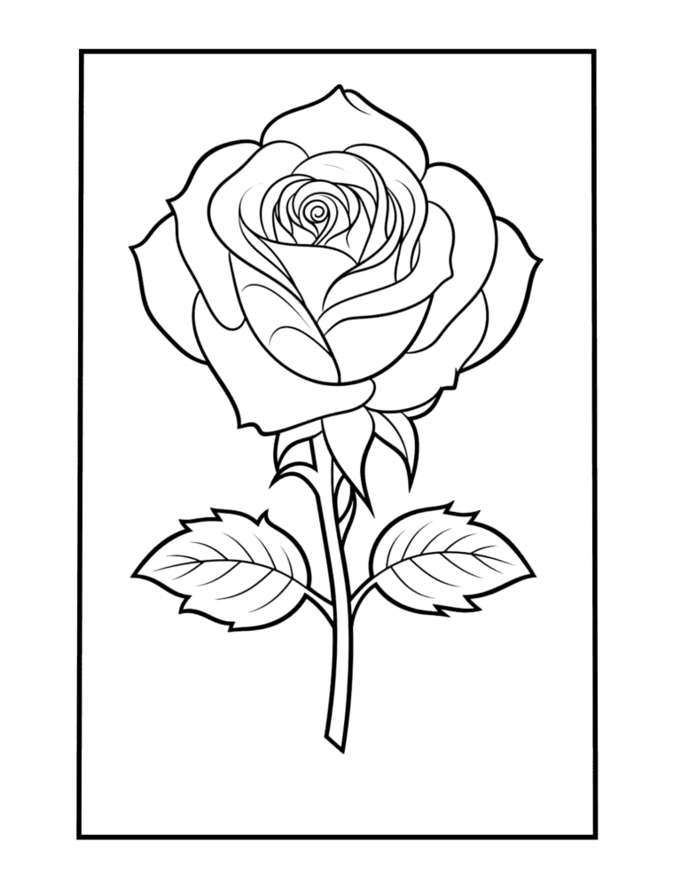 rose to color