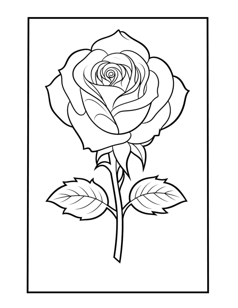 rose to color