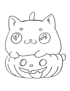 cute halloween pumpkin cat