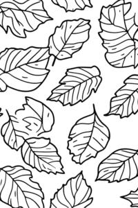 Coloring pages autumn leaves