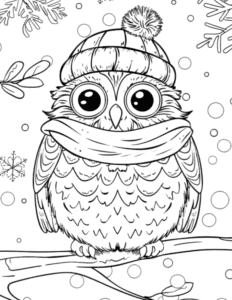 Winter Owls Coloring Pages For Kids And Adults